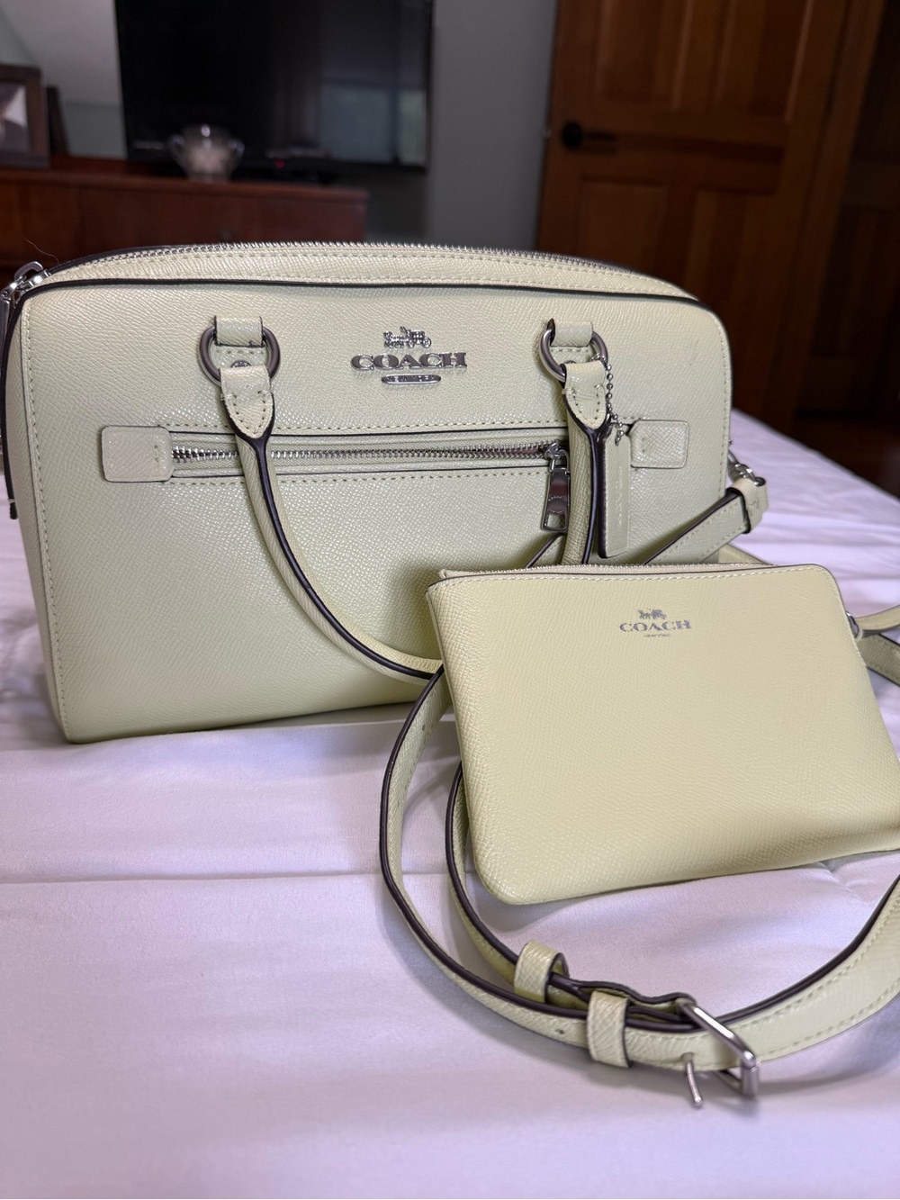 COACH Rowan Satchel Bag in MINT with Zippered Pouch